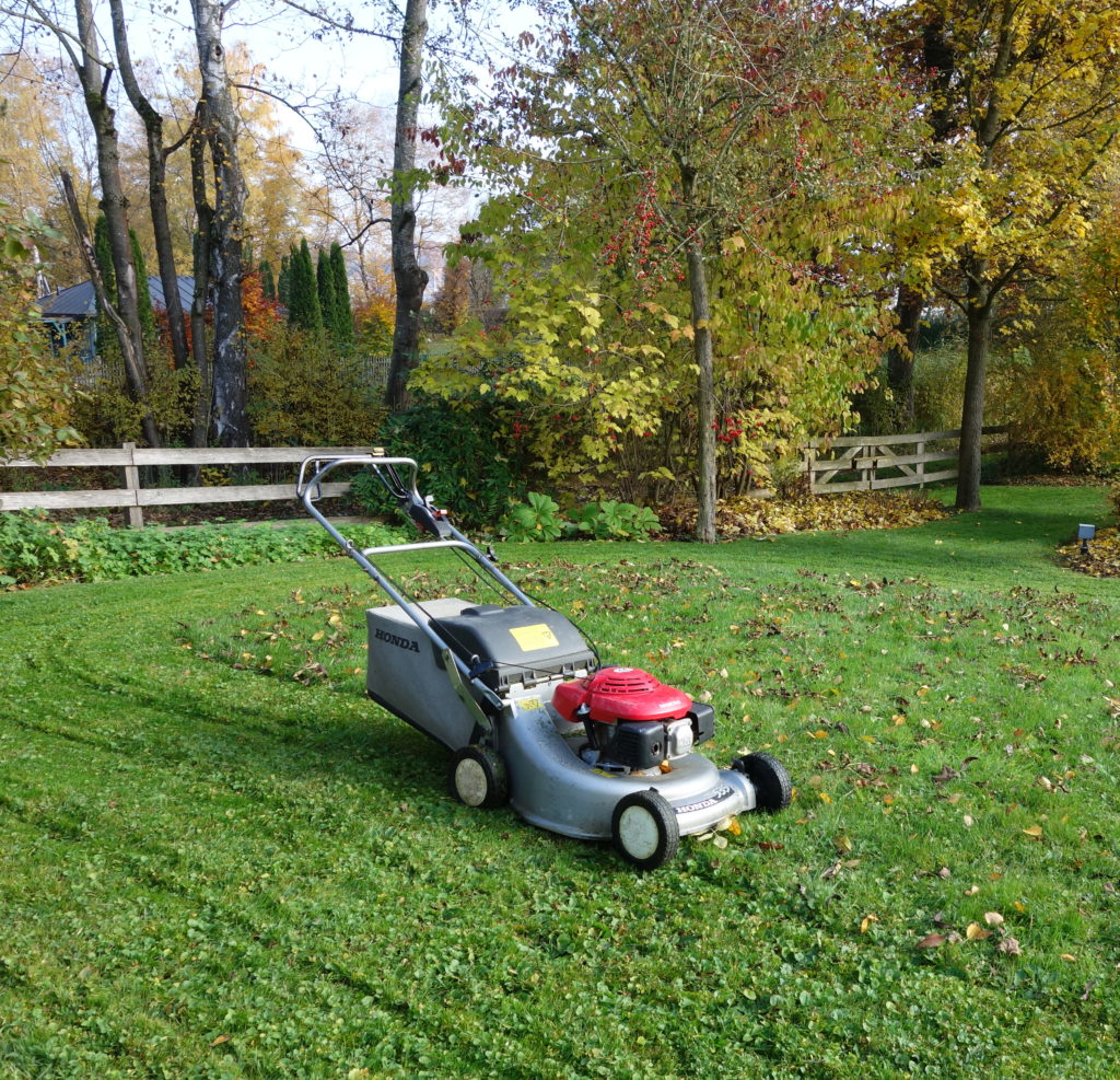 Gartenpflege Fünfseenland Rasen Gehölz Stauden Pflege
